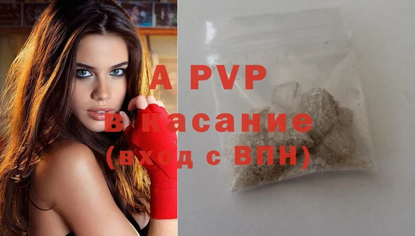 PSILOCYBIN Балабаново