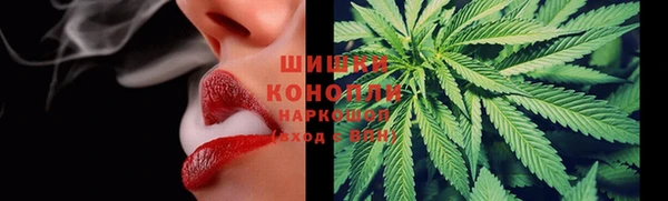спайс Баксан