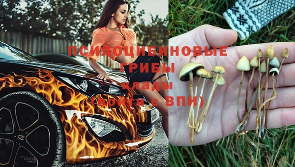 спайс Баксан