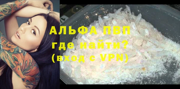 PSILOCYBIN Балабаново