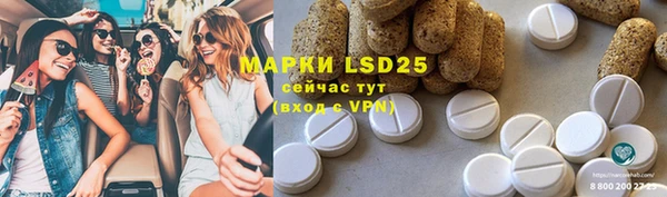 спайс Баксан